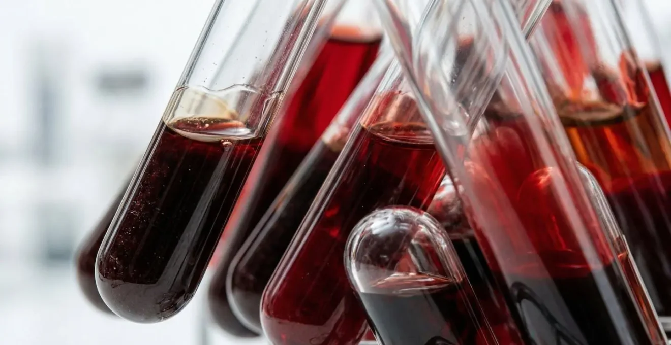 Vue macro d'échantillons sanguins avec mise en évidence subtile des différents composants biologiques